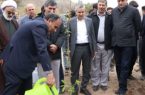 کاشت ۱۵۳ هزار نهال به یاد شهدای مدرسه شجره طیبه میناب در سرچشمه رفسنجان